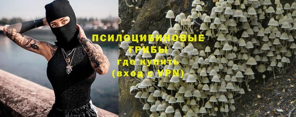 мяу мяу мука Алексеевка