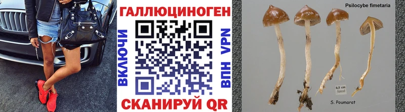 Псилоцибиновые грибы мицелий  хочу наркоту  Балашиха 